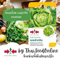 GGEW เมล็ดพันธุ์ บัตเตอร์เฮด เบลล่ากรีน 40เมล็ด ตราศรแดง Butterhead Bella Green