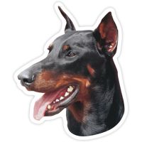 S40204# Various Sizes PVC Decal Doberman Pinscher Car Sticker Waterproof on Bumper Rear Window Laptop Refrigerator Toilet Bumper Stickers Decals  Magn