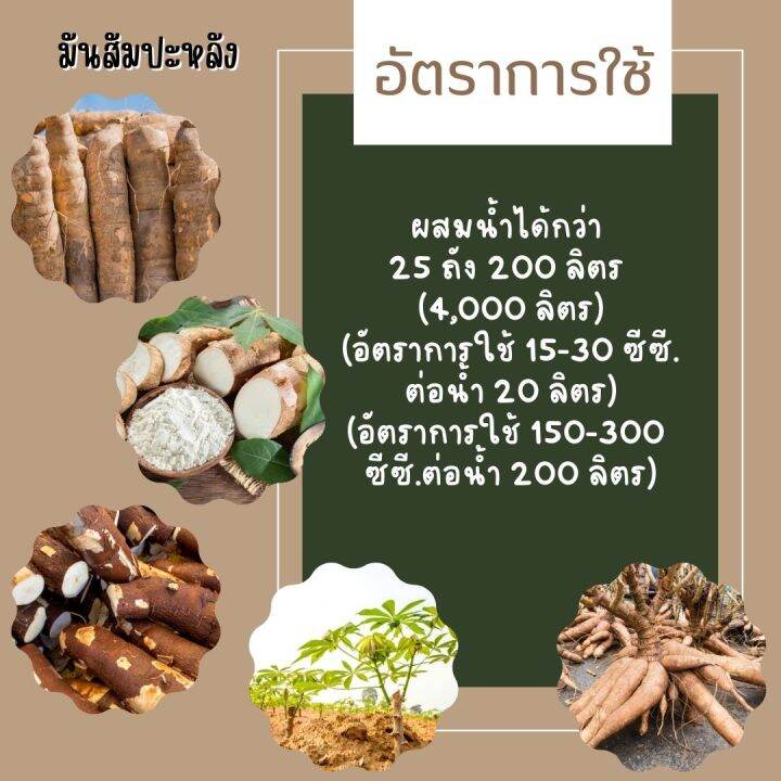 พร้อมส่ง-บุเรงนอง-ขนาด-4-ลิตร-อะมิโนพืช-สาหร่าย-ไคโตซาน-น้ำตาลทางด่วน-อาหารพืช-ใช้ฉีดพ่นทางใบ-ฉีดพ่น-มัน