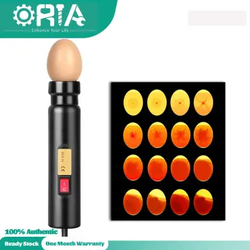 Bright Cool LED Light Egg Candler Tester, Power by Power Supply Only, for  All Types Egg Broody or Incubator Monitor The Development