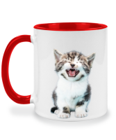 แก้วชงชา แมวงอแง แมวเด็ก Kitten meowing แมว cat แก้วชงกาแฟ แก้วสองสี แก้วสกรีน แก้วกาแฟ twotone coffee mug