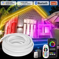 1-100เมตรนำแถบนีออน220V ไฟนีออนแบบเชือก RGB กันน้ำ IP67ระยะไกลบลูทูธทูธ Tuya สมาร์ทเทปยืดหยุ่นควบคุมเสียงระเบิด