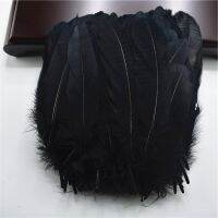 Hard Stick Feathers for 5-7 /12-18cm Carnaval Accessories Decoration Crafts