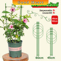 Jai Dee โครงเถาวัลย์ เสามะเขือเทศ โครงปลูก อุปกรณ์สำหรับพืชไม้เลื้อย 45cm 60cm plant trellis