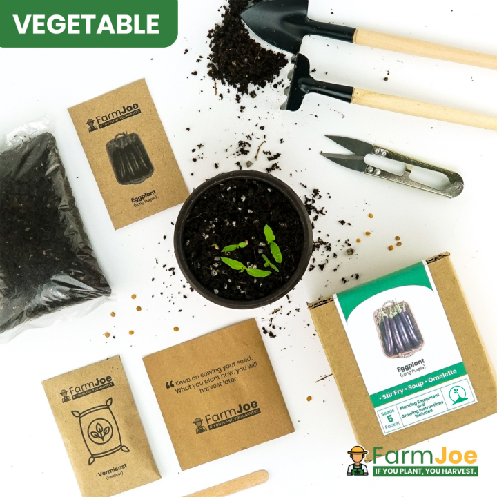EGGPLANT Grow Kit Plant Kit Seed Starter Kit FarmJoe Lazada PH
