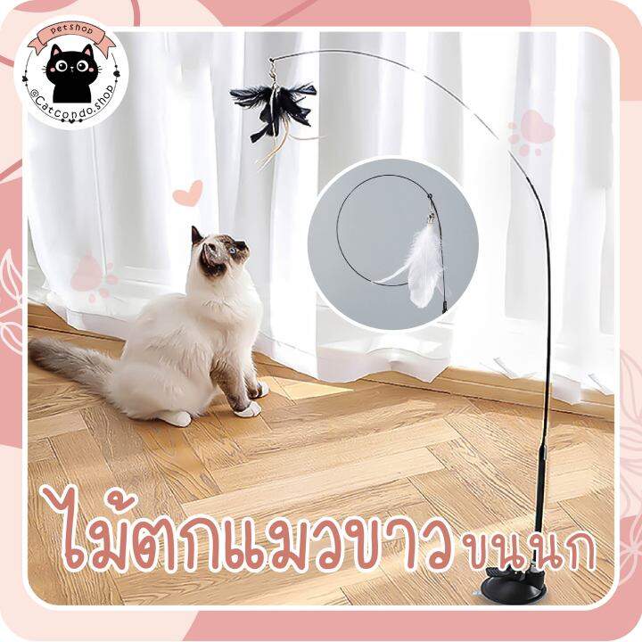 ของเล่นแมว-ไม้ตกแมวติดกระจก-ไม้ตกแมวสีขาวขนนก