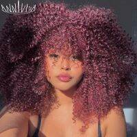 Short Hair Afro Kinky Curly Wigs With Bangs For Black Women Fluffy Synthetic African Ombre Glueless Brown Blonde Cosplay Wigs Hand Tool Parts Accessor