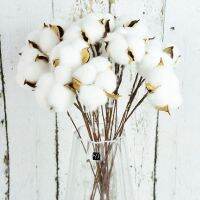 【cw】 Natural Dried CottonWhiteDecoration ArtificialBranch Wedding Bridesmaid BouquetFakeFlowers