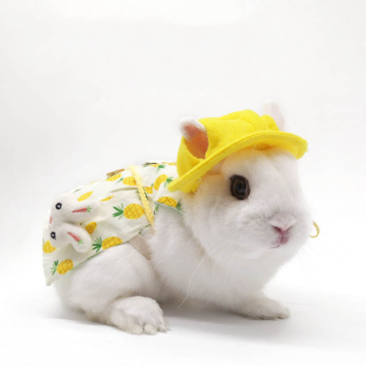 หมวกสวมลายสัตว์-ruyifang-chaotuo-เสื้อผ้าสำหรับสัตว์เลี้ยงเครื่องประดับสำหรับกระรอกกระต่ายหมูกินี