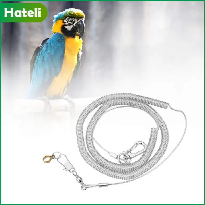 HATELI Pet Parrot Bird Harness Leash Flying Training Traction Rope for ...