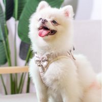 [HOT!] Dog Harness and Leash Set Breathable Chest Strap Pet Harness for Small Dogs Cats With Bell Puppy Harness Vest Dogs Accessories