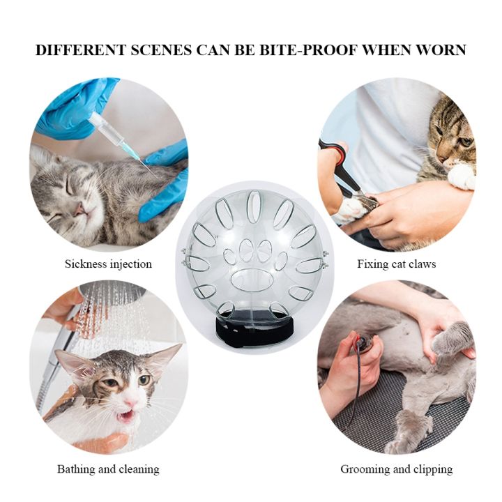 hot-cover-anti-scratch-cats-transparent-helmet-anti-licking-vent-holes-breathable-for-aggressive