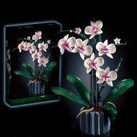 608ชิ้นสร้างช่อดอกกล้วยไม้ด้วยบล็อกตัวต่อ Phalaenopsis 10311-ของขวัญที่สมบูรณ์แบบสำหรับเด็กผู้หญิง!