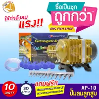 ปั๊มลมลูกสูบ RESUN AP-10 ปั๊มออกซิเจน ปั้มลม (ปั๊มลมสีทองพร้อมชุดสแตนเลส) แถมฟรีพร้อมอุปกรณ์ size XL *ของแถมอาจมีการเปลี่ยนแปลงสีและรุ่น