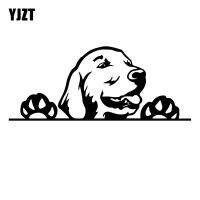 【LZ】✜  YJZT-Creative Golden Retriever Dog Vinil Car Adesivos Espreitar Adesivos Preto Prata