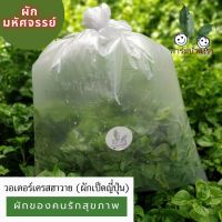 วอเตอร์เครสฮาวาย (ผักเป็ดญี่ปุ่น)  1kg   ไร้สารเคมี อร่อน สะอาด ปลูกเเบบอินทรีย์ ตัดสด จัดส่งแบบใบก้าน