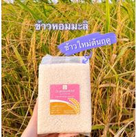 ข้าวรุ้งทอง ข้าวหอมมะลิ พันธุ์ดอกมะลิ 105 แท้100% ข้าวพันธุ์ส่งออก รางวัลชนะเลิศระดับโลกปี 2564 ส่งตรงจากชาวนา ขนาด 1 กิโลกรัม