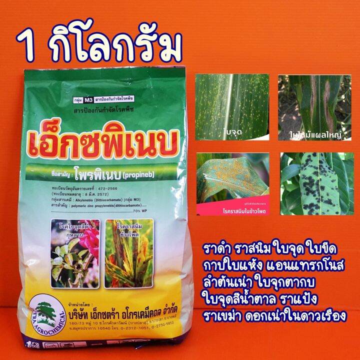 โพรพิเนบ-เอ็กซพิเนบ-สารแอนทราโคล-ป้องกันโรคพืช-1กิโลกรัม-กาบใบแห้ง-ราดำ-ราแป้ง-ใบจุด-ใบไหม้-ราสนิมข้าวโพด