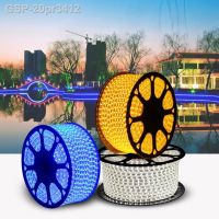 ✖สัญลักษณ์20pr3412 220V Luzes De Néon 60 Leds /M Led 5050 Trichell Brilhante À Prova Dágua Por Atacado Lâmpada Corda Ponte Ao Ar Livre Iluminação LZ Tira Nova