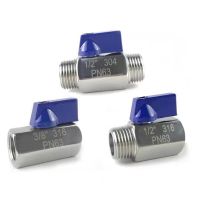 1/8" 1/4" 3/8" 1/2" 3/4" 1" BSP  F/M M/M F/F Mini Sanitary Ball Valve 304 Stainless Steel Homebrew With Blue Hanlde