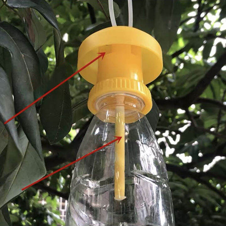 NEW ARRIVAL Fruit Fly Trap Killer Plastic Drosophila Trap Fly Catcher