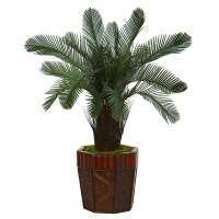 Ft ต้นไม้ประดิษฐ์ Cycas ในชาวไร่ไม้ไผ่