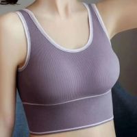 ผู้หญิงโยคะชุดชั้นในเบาะ Crop Tops กีฬา Tank Top ไม่มีแหวนเหล็กฟิตเนส Soft Beauty Back Breathable Gym เสื้อผ้า...