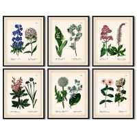 Vintage Botanical Wall Art ภาพวาดรูปภาพสำหรับห้องนั่งเล่นตกแต่งบ้าน