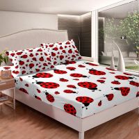 【CW】 Set Bug Pattern Bed Sheet for Boys Entomology Fitted Kids Toddler King Size