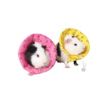 Small Pet Accessories Ferrets Guinea Pig Hedgehog Hamster Dutch Rats Collar Pet Products Anti-Bite Elizabeth Collar