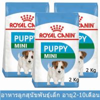 อาหารลูกสุนัข รอยัลคานินสำหรับลูกสุนัขพันธุ์เล็ก 2 -10เดือน 2กก.(3ถุง)Royal Canin Mini Puppy for Small Breed Puppies 2kg