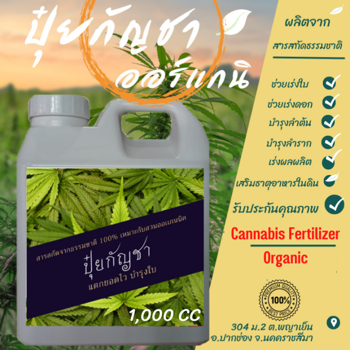 ปุ๋ยน้ำกันชา-ที่ดีที่สุด-20ลิตร-fertilizer-organic-npk-สูตรออแกนิค-ซื้อปุ๋ยเเถมเมล็ด-fertilizer-organic-420-1000ml-สูตรออแกนิค-100-ไร้สารเคมีปลอดสารพิษ