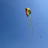 9KM DWLIFE Big Trilobite Kite Soft Kite Show Kites Inflatable Toys for Adults Ripstop Nylon (7sqm 10sqm 16sqm 36sqm 45sqm 65sqm)