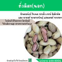 ถั่วลิสง (แบ่งขาย 200-500G.) อาหารนกแก้ว หนูแฮมสเตอร์ และสัตว์ฟันแทะ