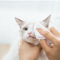 Pet Special Wet Paper Towel Cat Dog Wet Towel Cleaning Pet Wet Towel Summer Dog Supplies 70 Pieces Universal