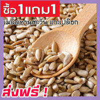 ? ส่งฟรี ? ซื้อ 1 ฟรี 1 เมล็ดทานตะวันแกะเปลือก Sunflower Seeds Roasted Unsalted (ขนาด 100กรัม ฟรี 100กรัม) เม็ดทานตะวัน ทานตะวันอบ ขนมกินเล่นถูกๆ ขนมกินเล่น อาหารพร้อมทาน ขนมที่ดังใน tiktok ขนมถูกๆส่งฟรี ธัญพืชรวม ธัญพืชอบแห้ง ราคาถูก ขน