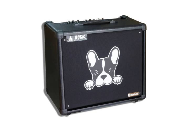 new-model-bluetooth-rock-แอมป์กีต้าร์ไฟฟ้า-100-วัตต์-12-electric-guitar-ampifier-100-watt-12-รุ่น-fg-100