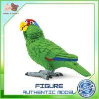 Safari Ltd. : SFR263729 โมเดลสัตว์ Green-cheeked Amazon Parrot ถ้วยหัดดื่ม แก้วหัดดื่ม ช้อมส้อมเด็ก ชุดจานเด็ก จานชามเด็ก ชุดถ้วยจานเด็ก ชุดจานชามเด็ก Mamy and Buddy