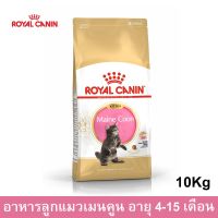 Royal Canin Kitten Maine Coon [10kg] อาหารแมว รอยัล คานิน สำหรับลูกแมว พันธุ์เมนคูน