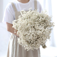 【cw】Natural Dried Preserved Flowers Gypsophila Paniculata Babys Breath Flower Bouquets Gift for Wedding Home Decor Props for Photo
