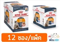 Royal Canin Intense Beauty Pouch อาหารชนิดเปียก แบบซอง สำหรับแมวโตอายุ 1 ปี ขึ้นไป 85g (12 ซอง)