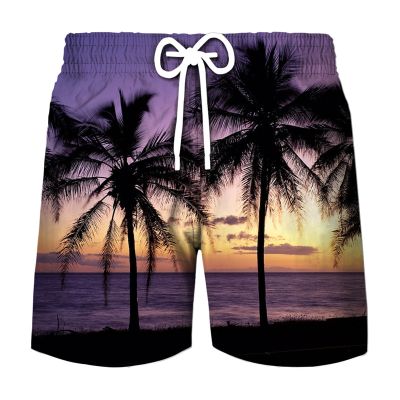 Coconut Tree Graphic Surfing Board Shorts Pants Men 3D Print Tropics Sea Island Beach Shorts Hawaii Swimsuit Ice Shorts Swimwear