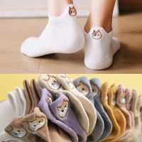 Summer Short Ankle Socks Women Summer Embroidery Funny Cat Cotton Socks Happy Candy Color Youth Campus Kitten Sokken Dropship