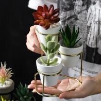 Gold-plated Iron Art Succulent Flower Pot Simple Iron Frame Ceramic Flower Pot Green Plant Clay Pot Set White Plant Pots Bag Accessories