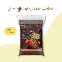 Entogrow | ปุ๋ยอินทรีย์ organic จากมูลจิ้งหรีด