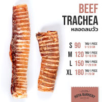 หลอดลมวัวอบแห้ง 1 ชิ้น Beef Trachea Hoya Barkery ขนมน้องหมา