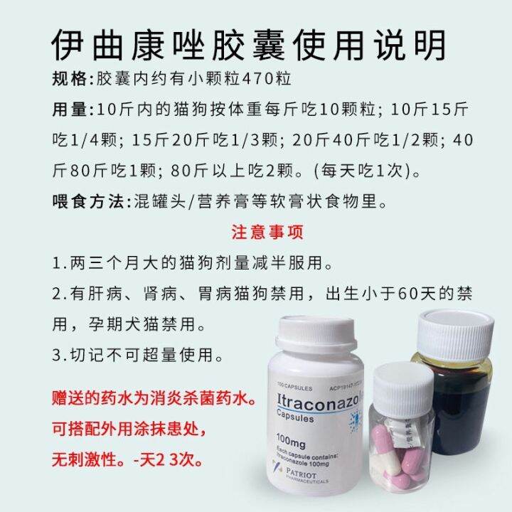 itraconazole feline ringworm dog ringworm oral medicine fungal