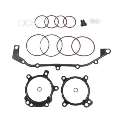 Vanos O-Ring Seal Repair Kit Fit for BMW E36 E39 E46 E53 E60 E83 E85 M52Tu M54 Double Convex Repair Kit 11361433513