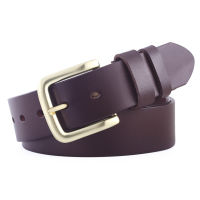 Anpudusen Camel vegetable belt solid ss buckle high quality mens belts luxury full grain genuine leather jeans cowboy