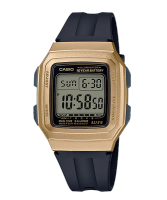 CASIO สายเรซิ่น รุ่น F-201WAM-9A